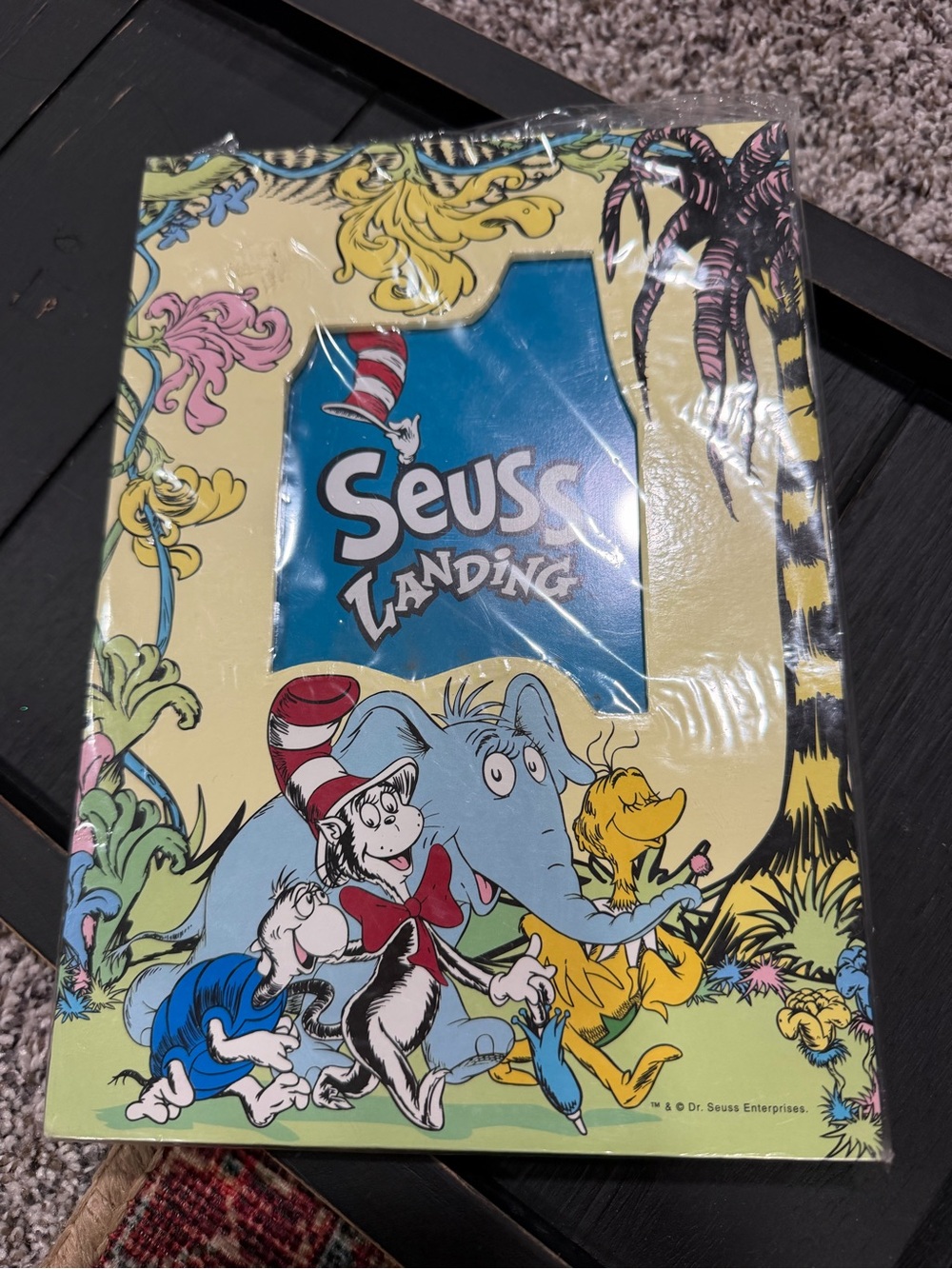 Dr. Seuss "Seuss Landing" picture frame. -